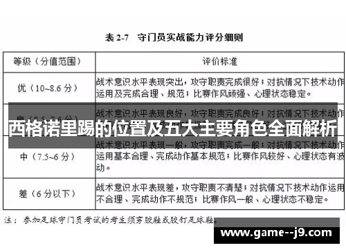 西格诺里踢的位置及五大主要角色全面解析