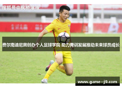 费尔南迪尼奥创办个人足球学院 助力青训发展推动未来球员成长