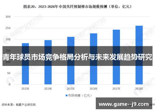 青年球员市场竞争格局分析与未来发展趋势研究 青年球员市场竞争格局分析与未来发展趋势研究