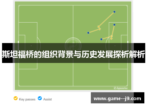 斯坦福桥的组织背景与历史发展探析解析