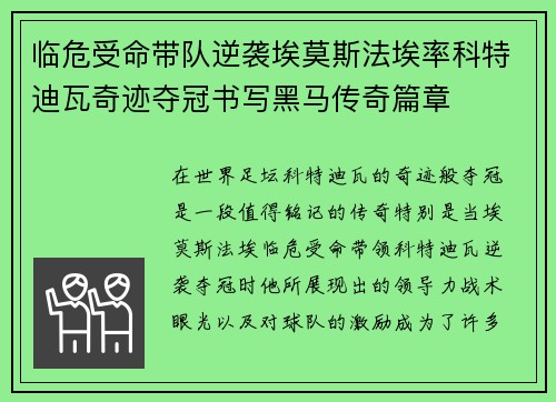 临危受命带队逆袭埃莫斯法埃率科特迪瓦奇迹夺冠书写黑马传奇篇章 临危受命带队逆袭埃莫斯法埃率科特迪瓦奇迹夺冠书写黑马传奇篇章